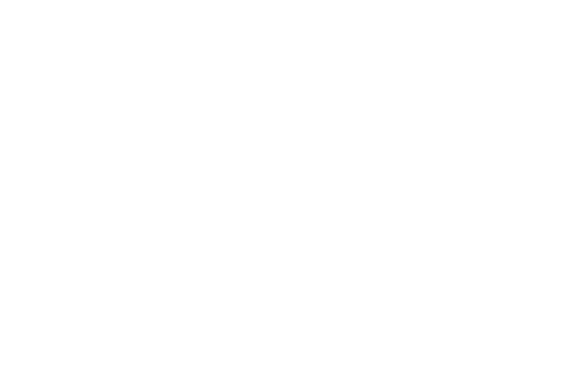 Rayhil — Lexline Linear